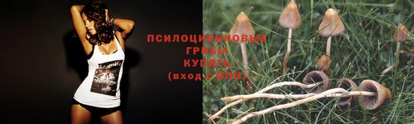 героин Наволоки